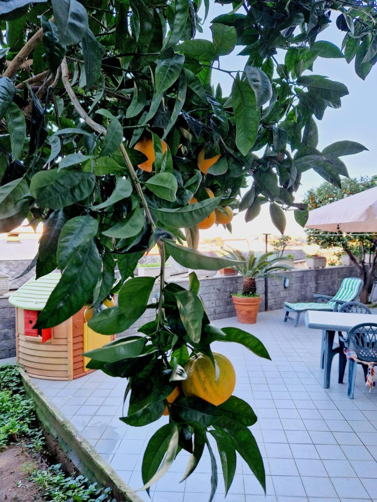 Fuga A Napoli Apartment Экстерьер фото