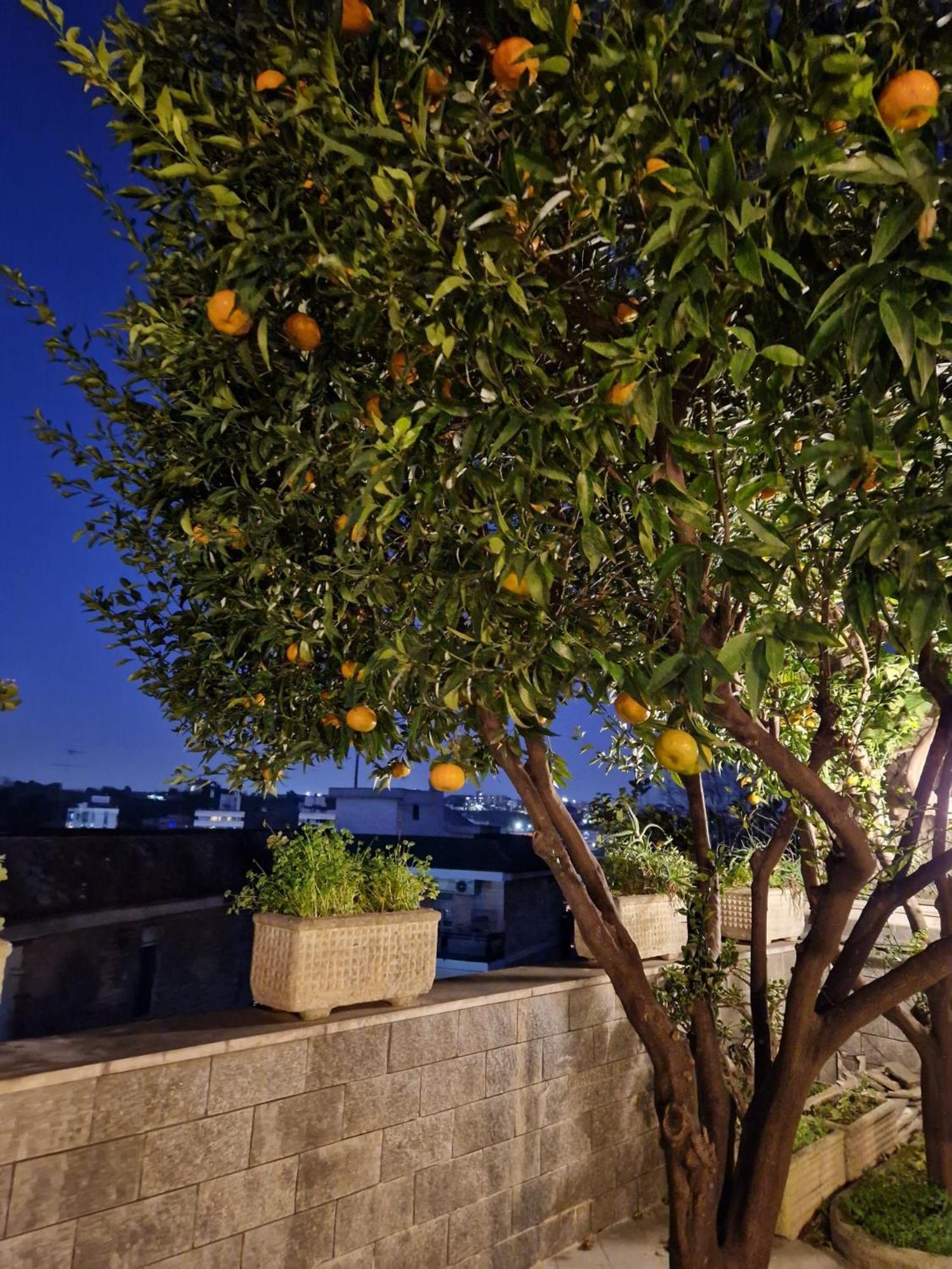 Fuga A Napoli Apartment Экстерьер фото